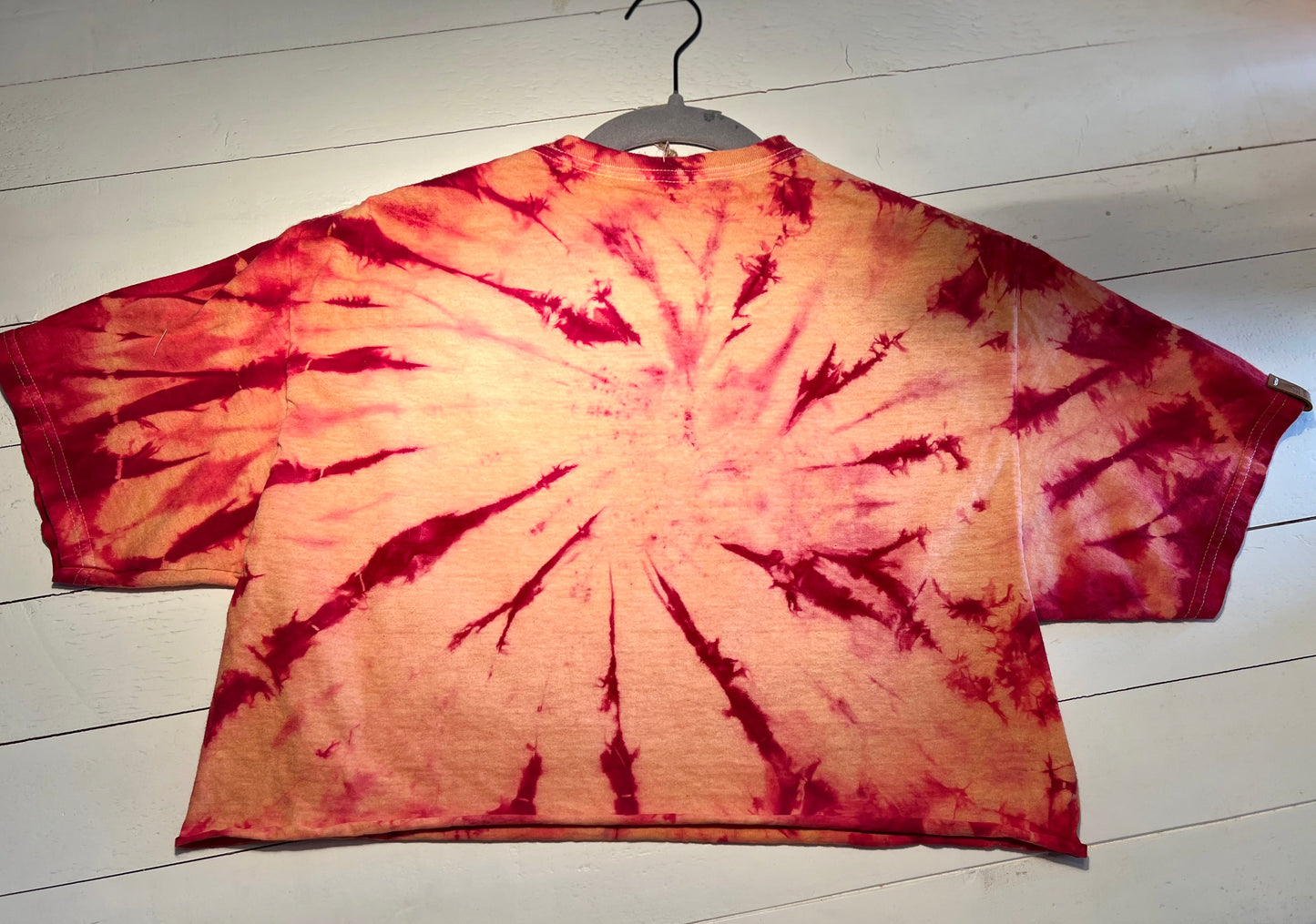 Led Zeppelin Crop Top