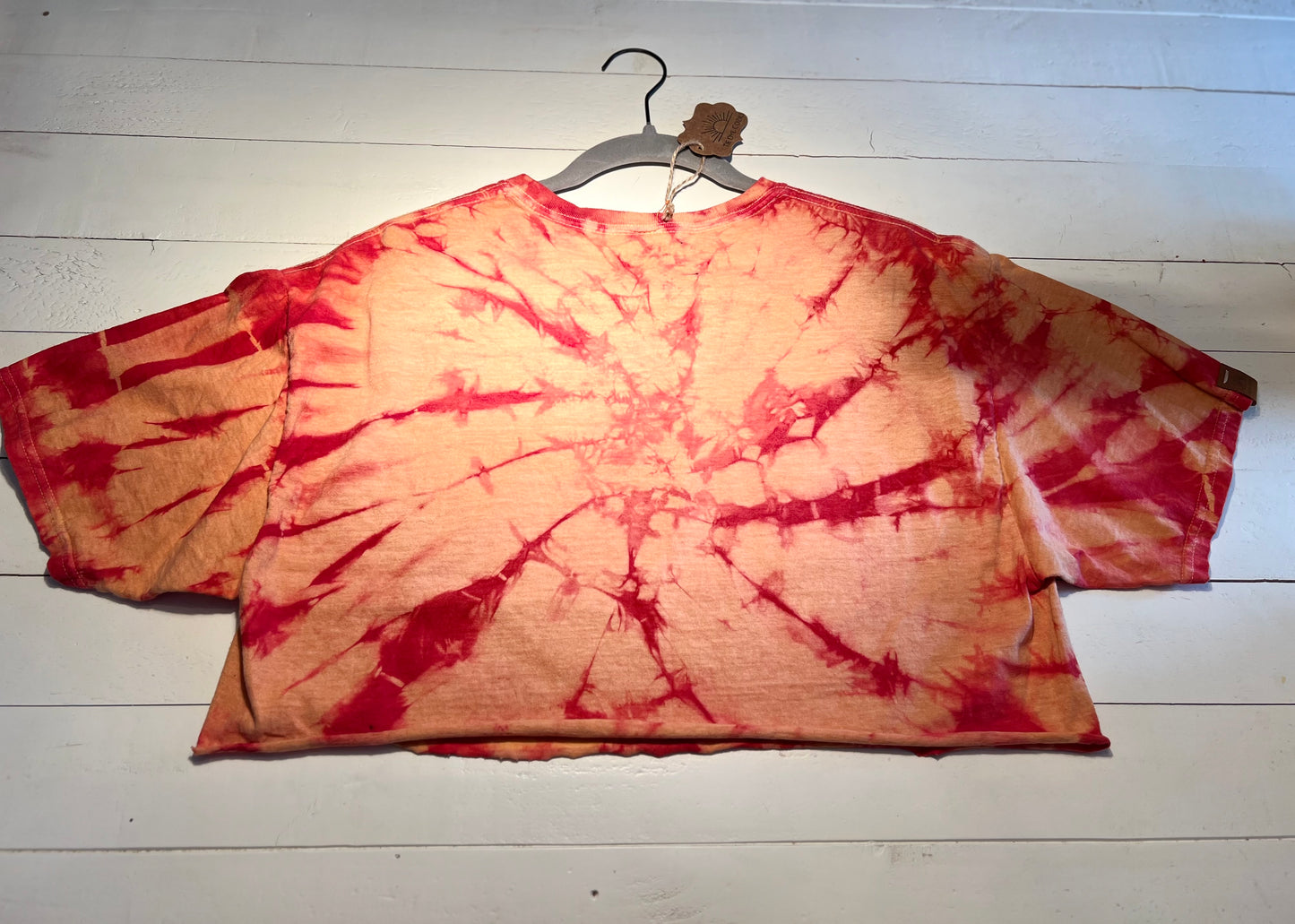 Led Zeppelin Crop Top